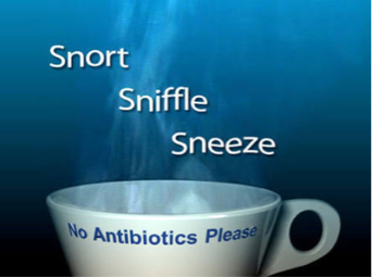 Snort Sniffle chiropractic